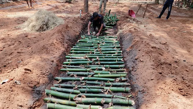 WhatsApp Image 2025-05-01 at 17.41.14