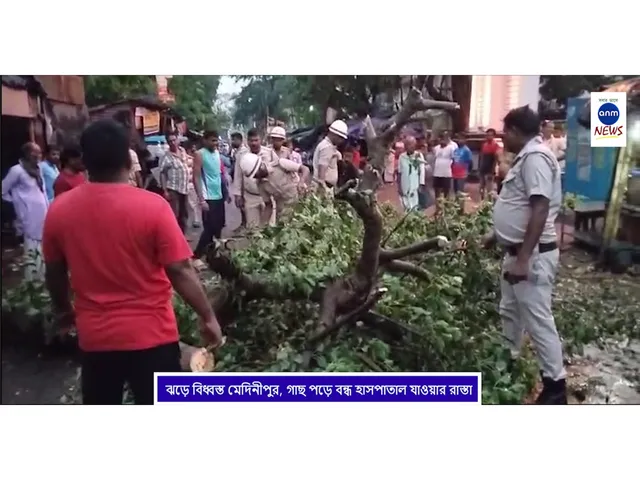 WhatsApp Image 2025-05-16 at 15.45.23