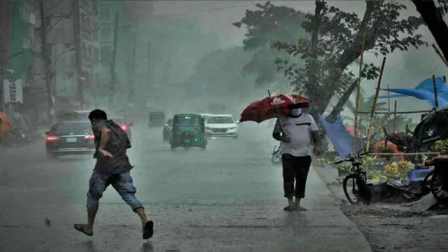 Rain
