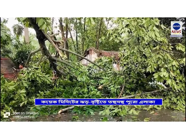 WhatsApp Image 2025-06-03 at 7.29.10 PM