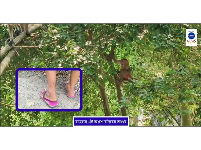 WhatsApp Image 2025-06-11 at 3.08.39 PM
