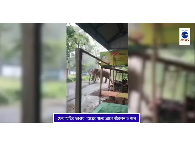 WhatsApp Image 2025-06-24 at 12.22.08 PM