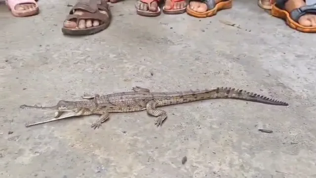 Screenshot 2025-07-05 1.27.38 PM