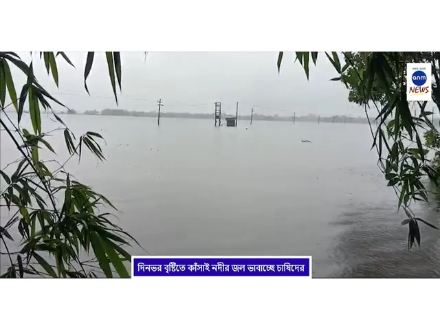 WhatsApp Image 2025-07-08 at 2.20.04 PM