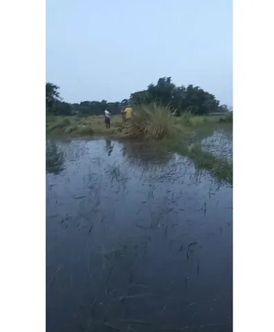 Screenshot 2025-07-13 11.21.02 AM