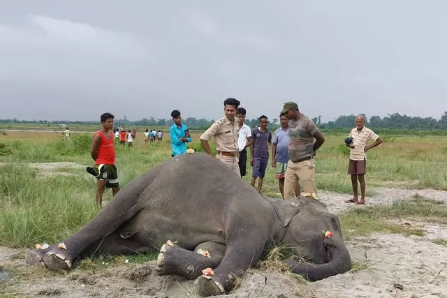 WhatsApp Image 2025-07-18 at 18.29.50 (1)