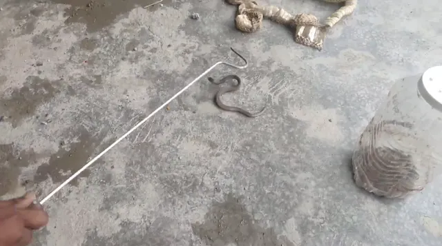 Screenshot 2025-07-19 12.37.49 PM