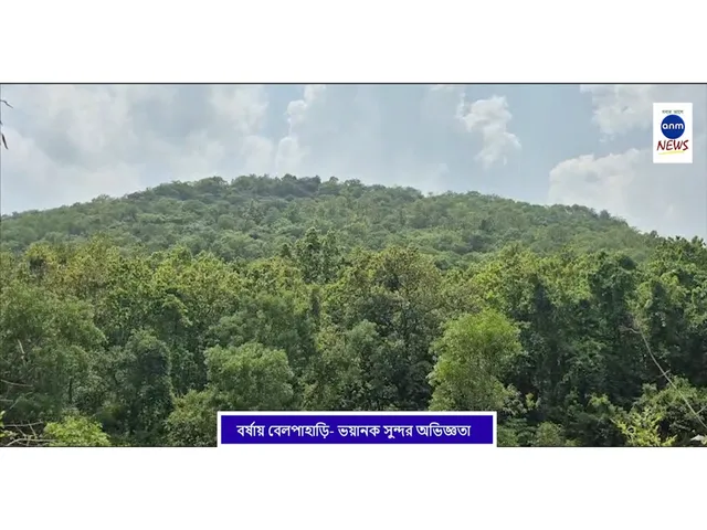 WhatsApp Image 2025-07-22 at 3.13.46 PM