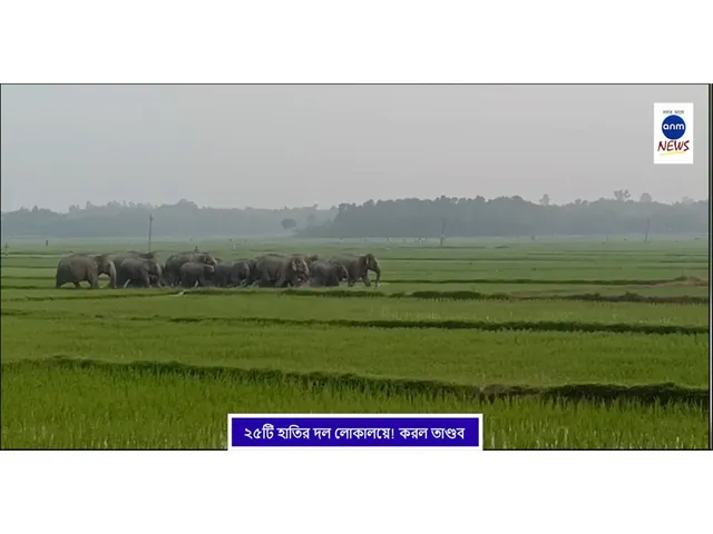 WhatsApp Image 2025-08-12 at 3.56.24 PM