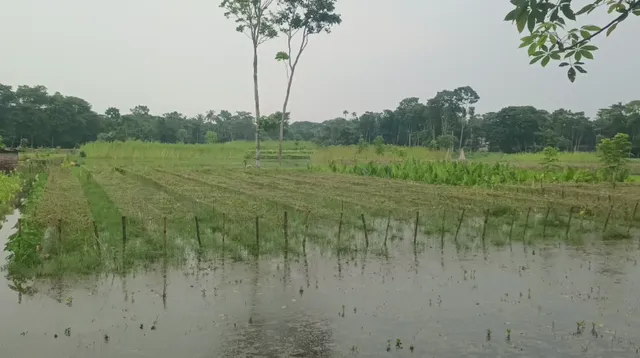 Screenshot 2025-08-17 4.09.56 PM