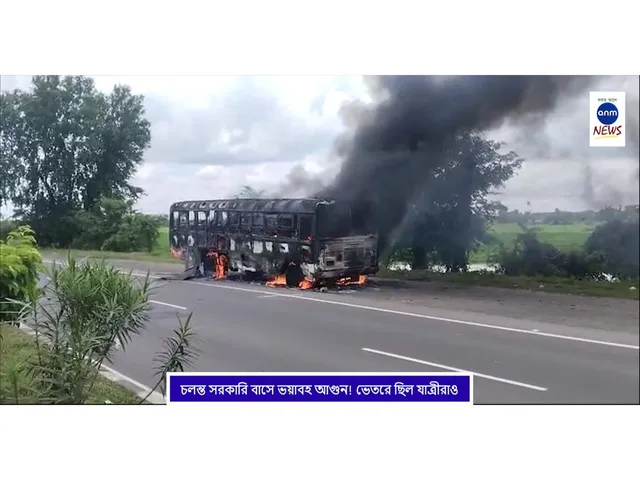 WhatsApp Image 2025-08-18 at 2.55.46 PM