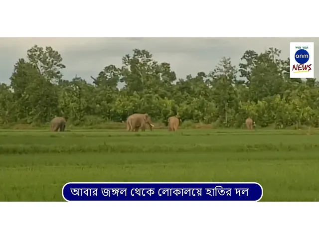 WhatsApp Image 2025-08-19 at 2.56.36 PM