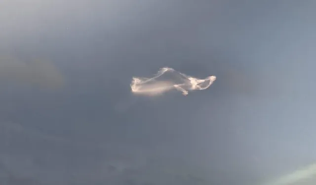 WhatsApp Image 2025-08-20 at 21.04.46