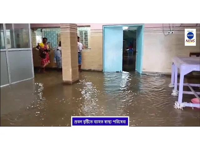 WhatsApp Image 2025-08-22 at 2.40.45 PM