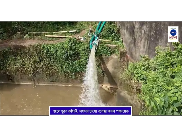 WhatsApp Image 2025-08-27 at 3.22.33 PM