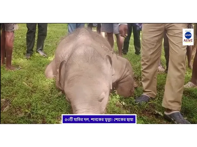 WhatsApp Image 2025-08-28 at 5.29.12 PM