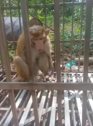 WhatsApp Image 2025-09-09 at 7.42.00 PM