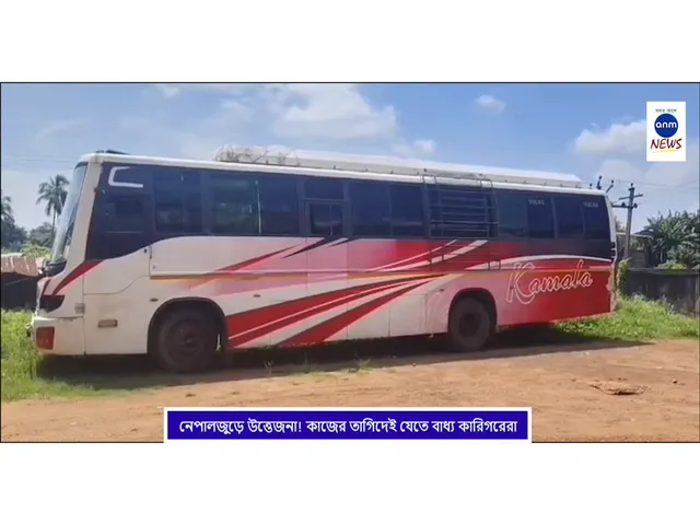 WhatsApp Image 2025-09-10 at 1.55.37 PM