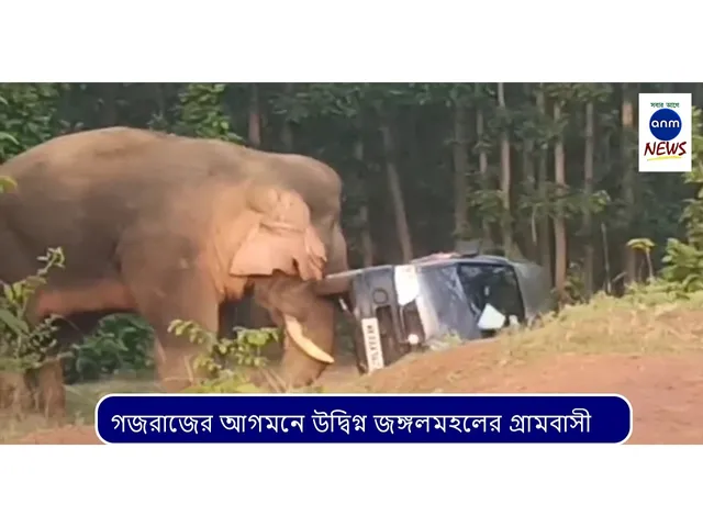 WhatsApp Image 2025-09-10 at 2.44.37 PM