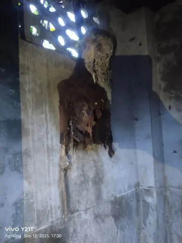 WhatsApp Image 2025-09-13 at 1.06.59 PM