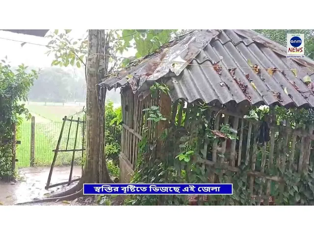 WhatsApp Image 2025-09-13 at 16.46.37