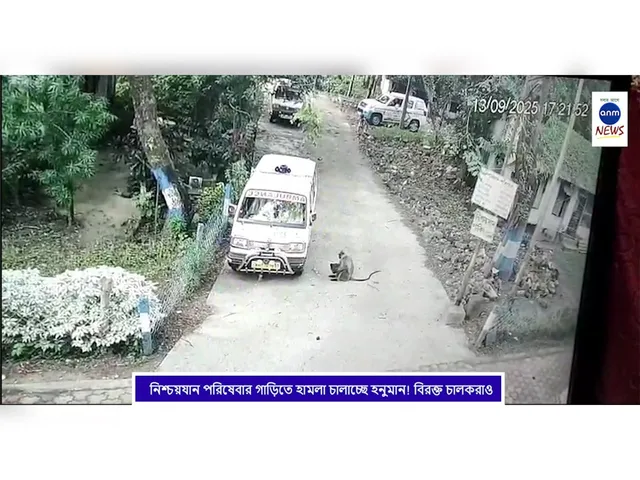 WhatsApp Image 2025-09-17 at 4.48.58 PM