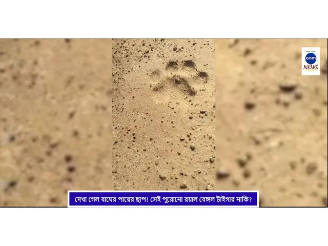 WhatsApp Image 2025-09-18 at 4.10.07 PM