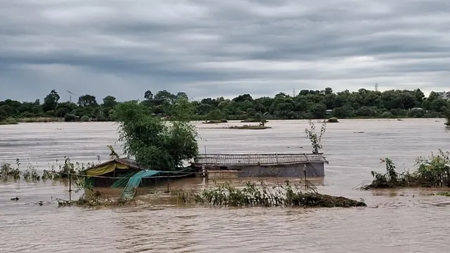 WhatsApp Image 2025-10-05 at 6.02.30 PM