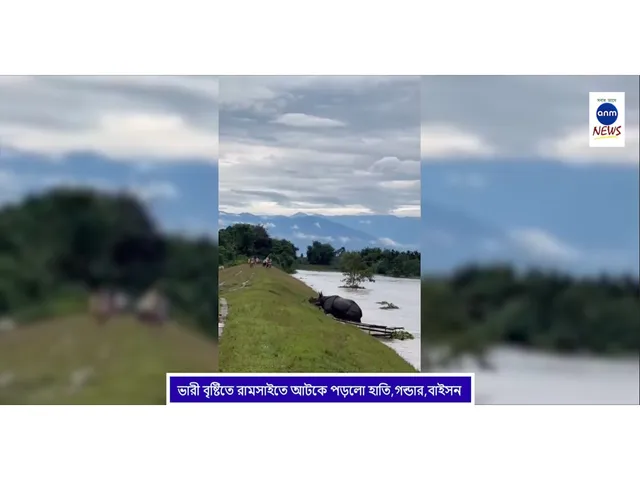 WhatsApp Image 2025-10-05 at 6.21.59 PM