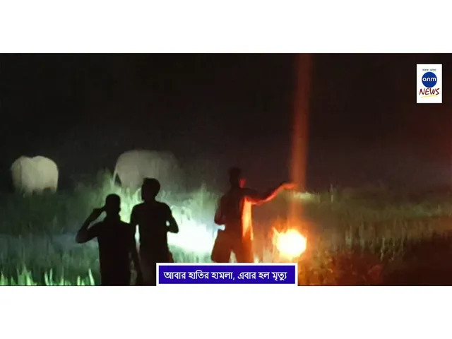 WhatsApp Image 2025-10-07 at 3.45.56 PM