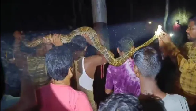 WhatsApp Image 2025-10-16 at 9.43.20 AM