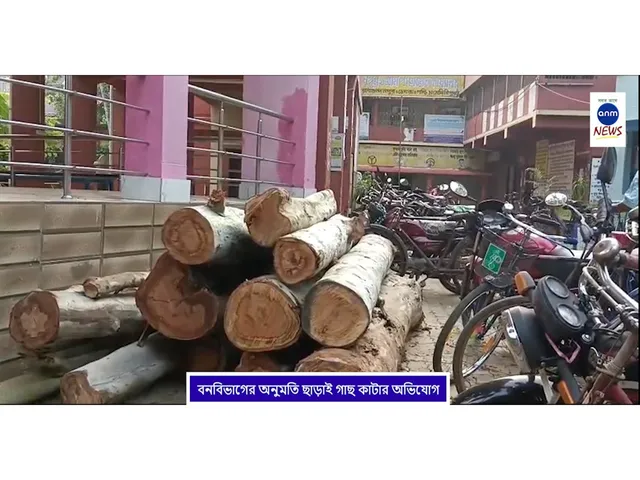 WhatsApp Image 2025-10-17 at 2.38.07 PM