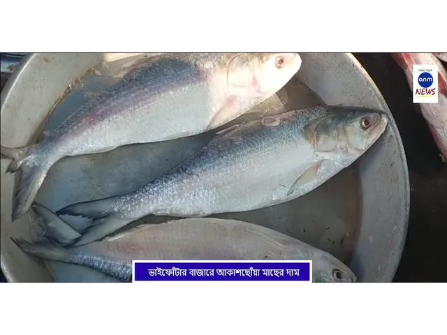 WhatsApp Image 2025-10-23 at 1.26.15 PM