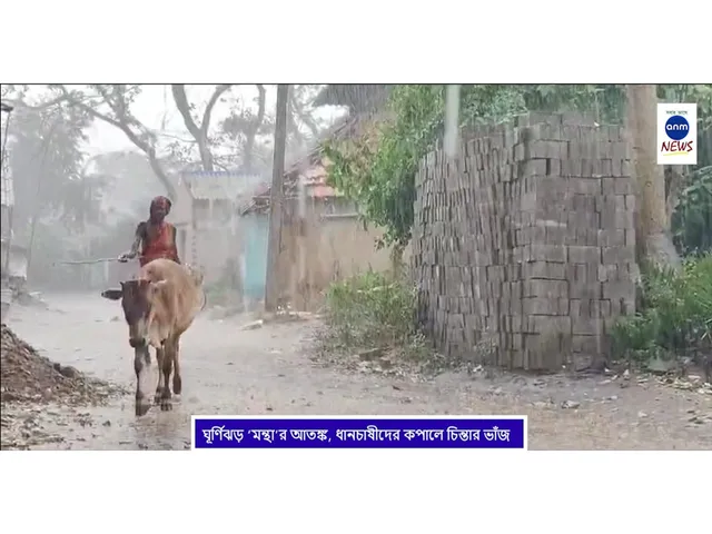 WhatsApp Image 2025-10-28 at 2.38.10 PM