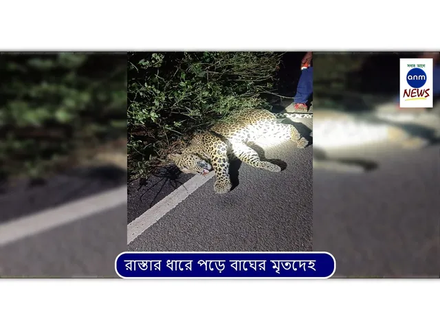 WhatsApp Image 2025-10-31 at 2.14.22 PM