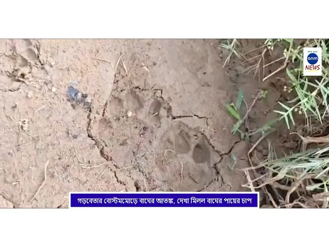 WhatsApp Image 2025-10-31 at 18.27.41