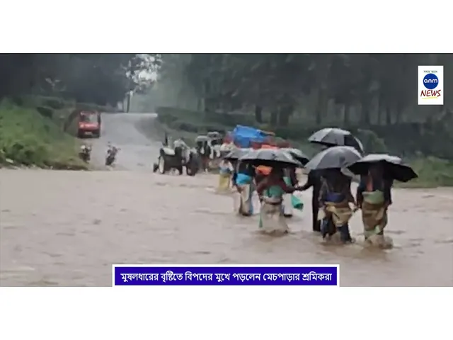 WhatsApp Image 2025-10-31 at 18.53.25