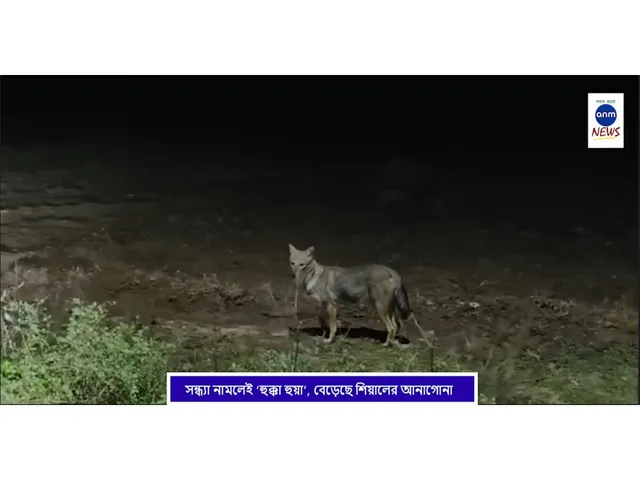 WhatsApp Image 2025-11-05 at 3.39.23 PM