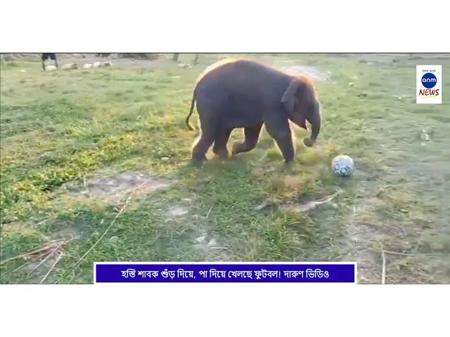 WhatsApp Image 2025-11-12 at 3.57.26 PM