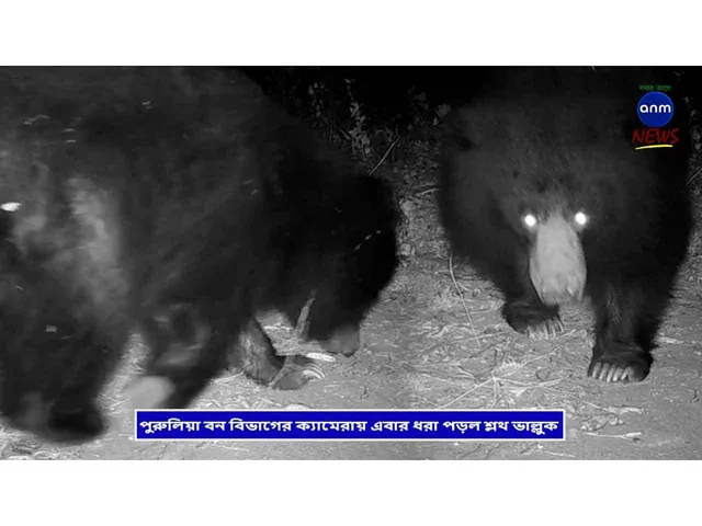 WhatsApp Image 2025-11-15 at 20.36.04