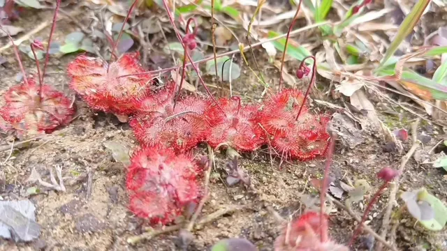 e5afb47a-1ab8-4cb6-9d7f-e491738e7485