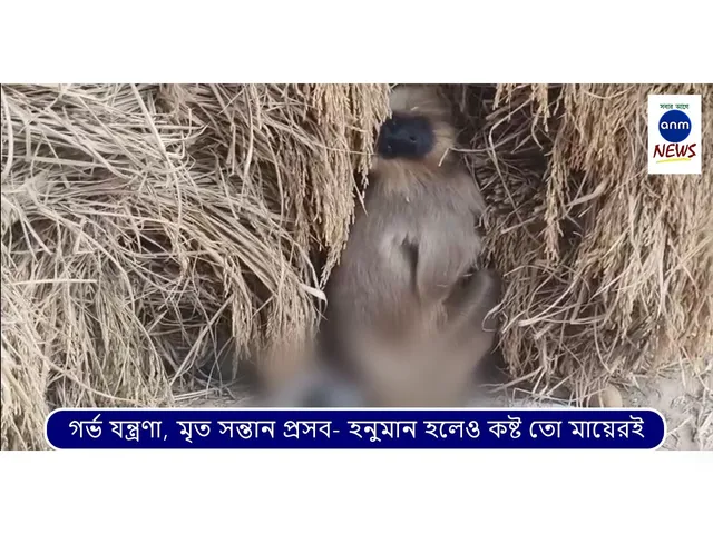 WhatsApp Image 2025-12-03 at 3.09.04 PM