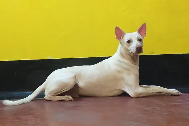 WhatsApp Image 2025-12-08 at 2.53.36 PM