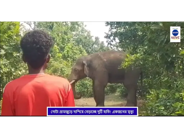 WhatsApp Image 2025-12-09 at 4.33.39 PM