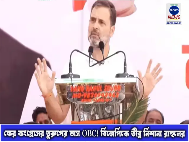 ফের কংগ্রেসের তুরুপের তাস OBC! বিজেপিকে তীব্র নিশানা রাহুলের.jpg