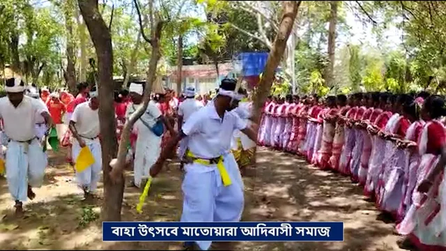 বাহা