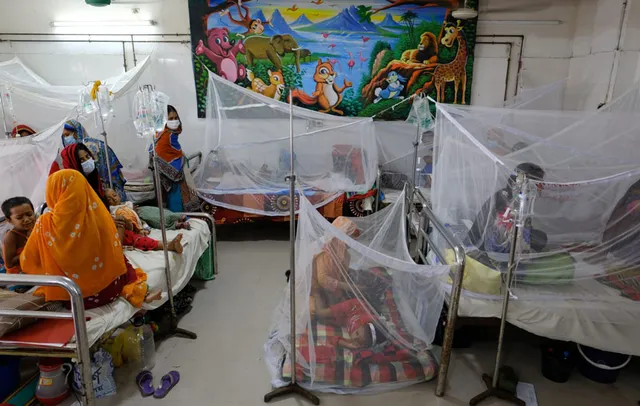 dengue-2.jpeg