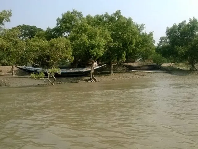 sundarban
