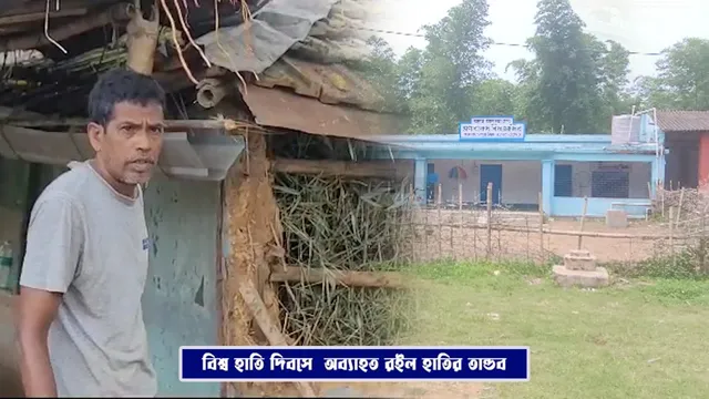 ১১১১১১১১১