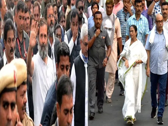mamata walkingss.jpg